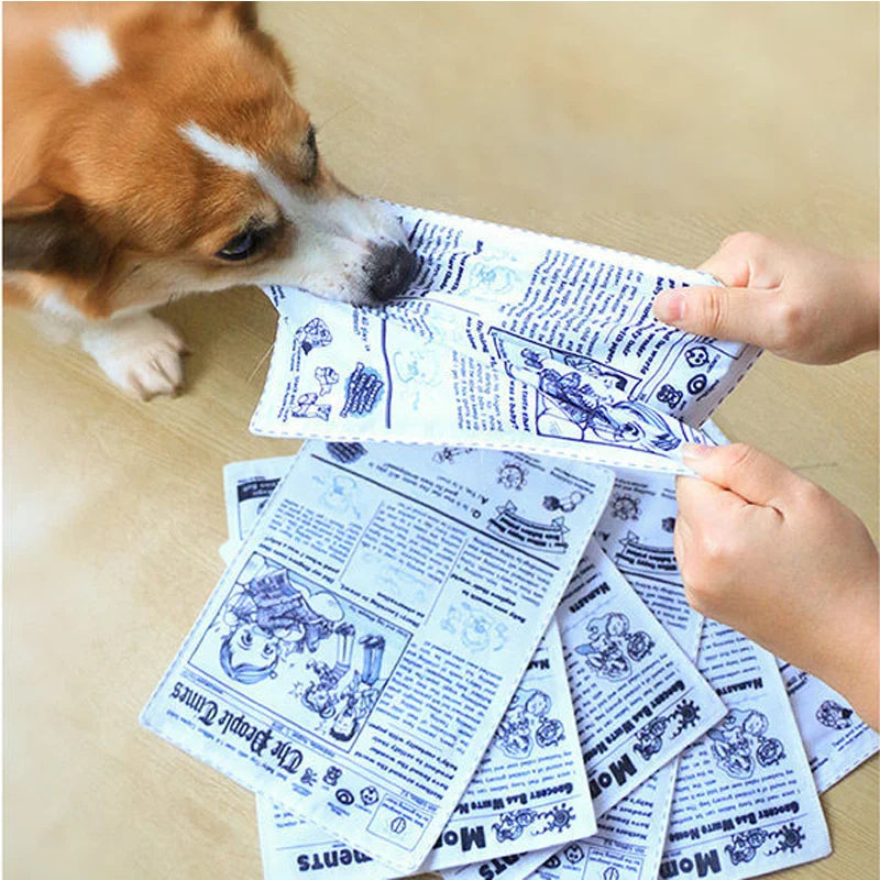 My First Journal – Fabric Chew Toy for Dogs