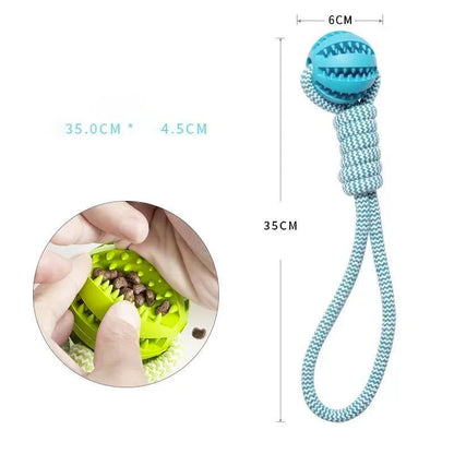 Chew Ball with Rope - Interactive and Dental Dog Toy