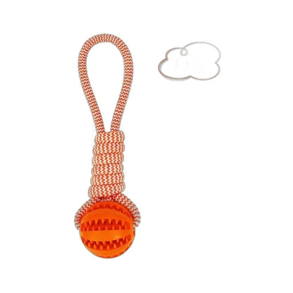 Chew Ball with Rope - Interactive and Dental Dog Toy