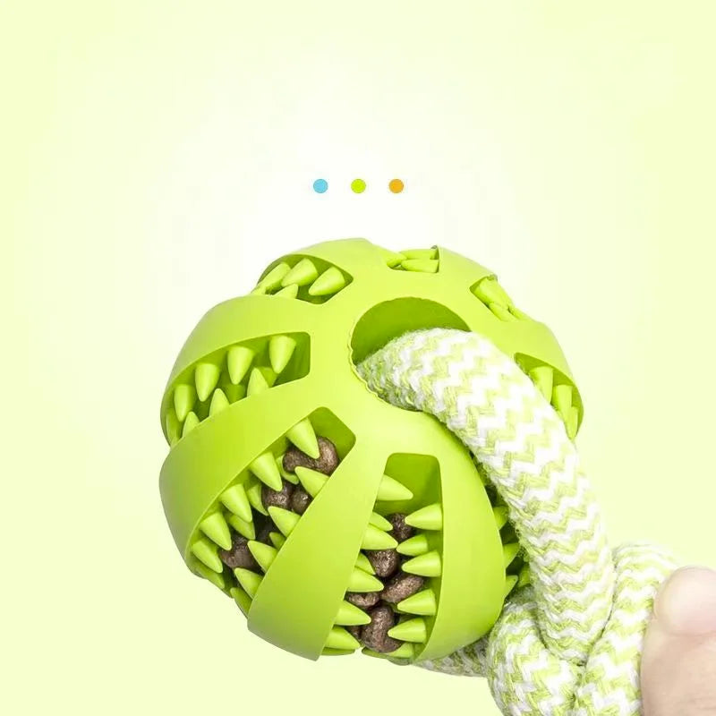 Chew Ball with Rope - Interactive and Dental Dog Toy