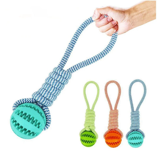 Chew Ball with Rope - Interactive and Dental Dog Toy